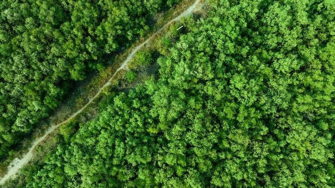 Bridging the policy gap: Catalytic collaboration for green growth