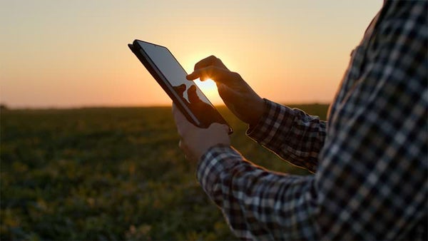 How Responsible AI can improve business and preserve value | PwC