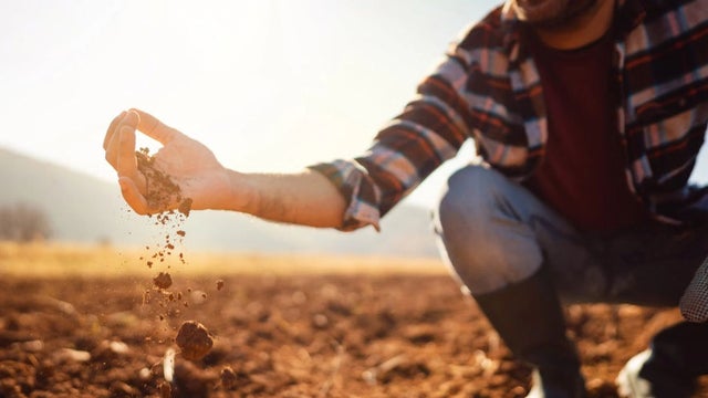 Man touching the ground in a production field